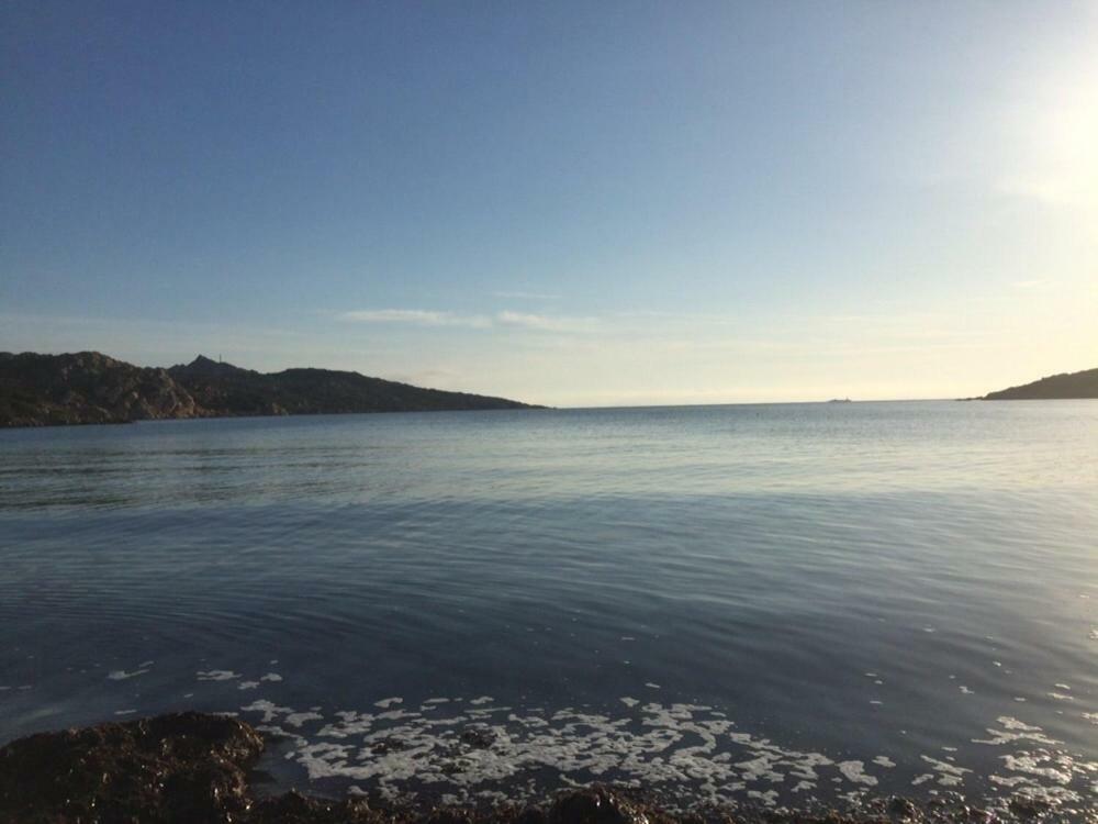 Appartamento Arancio La Maddalena  Dış mekan fotoğraf